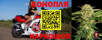 прущие крисы Кинель